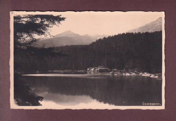 Photo - CAUMASEE