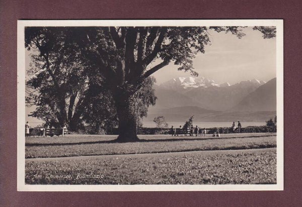 Am THUNERSEE - Blümlisalp