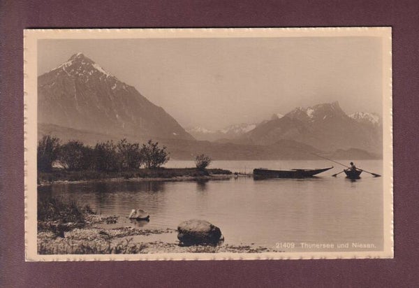 THUNERSEE - Niesen - Fischer