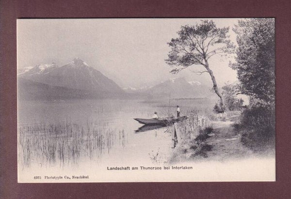 THUNERSEE - Niesen - Fischer