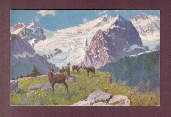 ROSENLAUI bei Paolo Kutscha