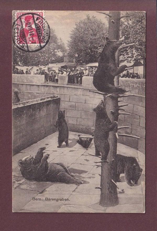 BERN - Bärengraben - 1912