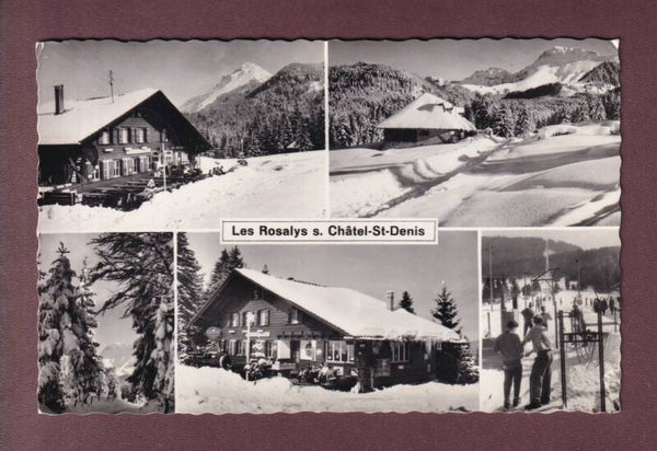 LES ROSALYS sur Châtel-Saint-Denis - 5 images - 1965