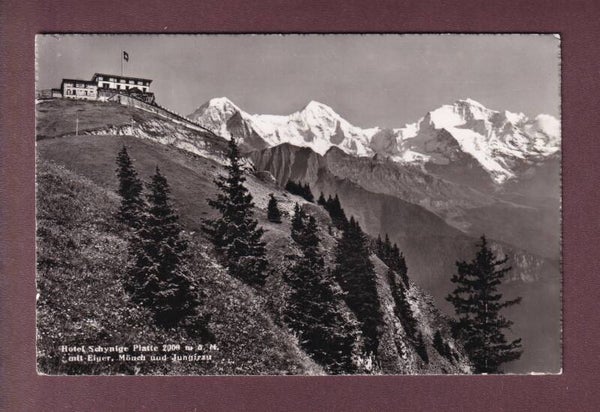 Hotel SCHYNIGE PLATTE - 1953