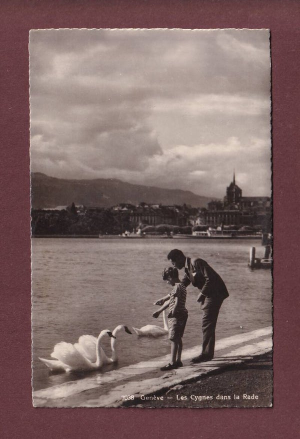 GENEVE - Les Cygnes - 1936