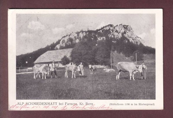 ALP SCHMIEDENMATT bei Farnern - 1930