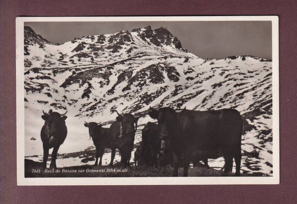 BECS DE BOSSON sur Grimentz - Vaches