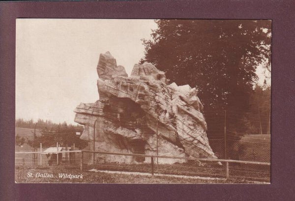 ST. GALLEN - Wildpark - Steinbockfelsen