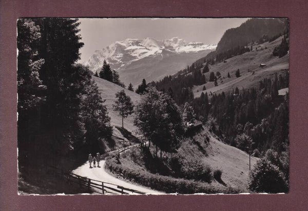 An der Strasse REICHENBACH-KIENTAL - Blümlisalp