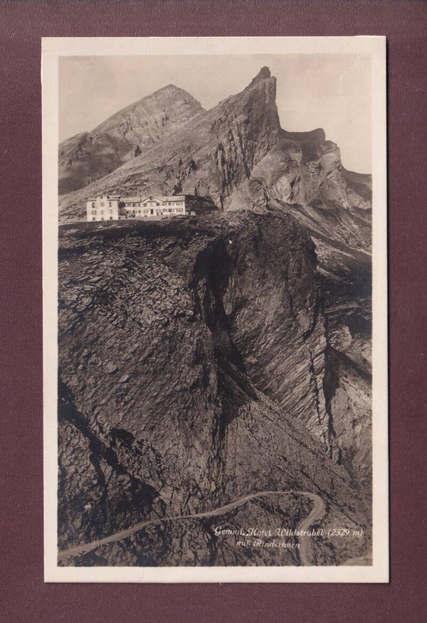 GEMMI - Hôtel Wildstrubel - Rinderhorn