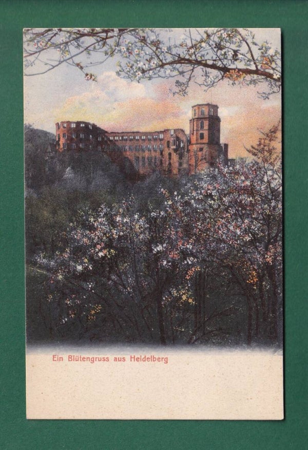 Blütengruss aus HEIDELBERG