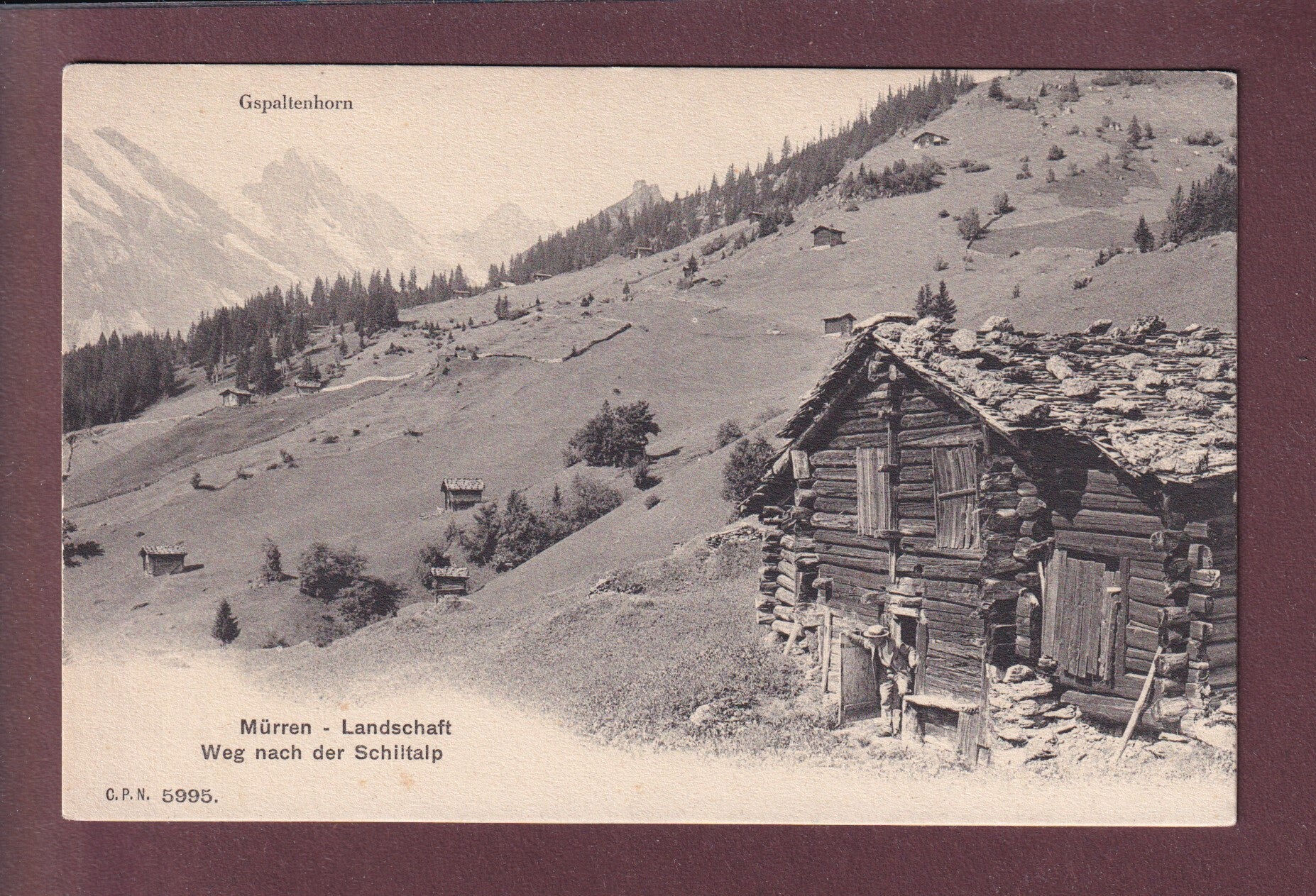 MÜRREN - Weg nach der Schiltalp - CPN