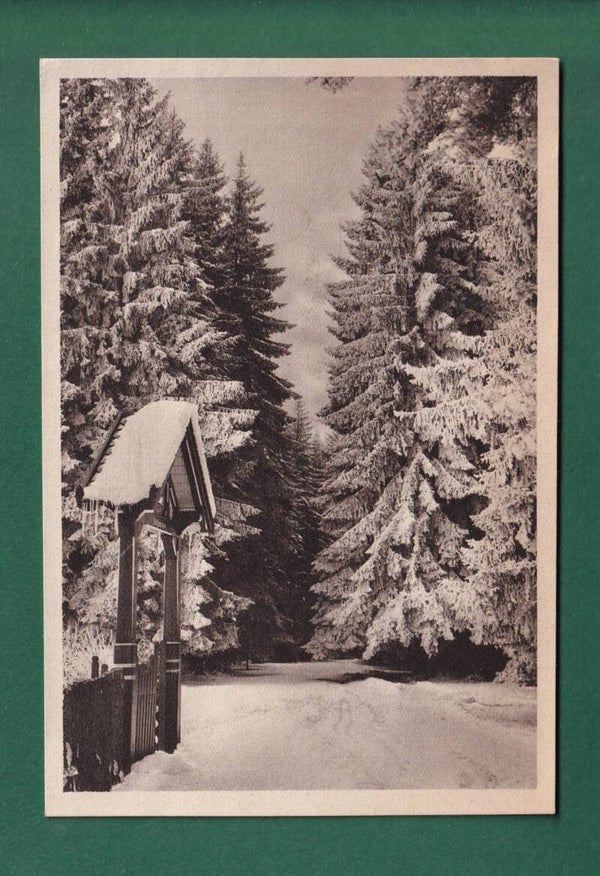 KÖNIGSFELD - Doniswald
