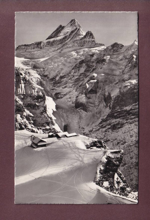 Grindelwald - BERGSTATION FIRST - Schreckhorn - 1952