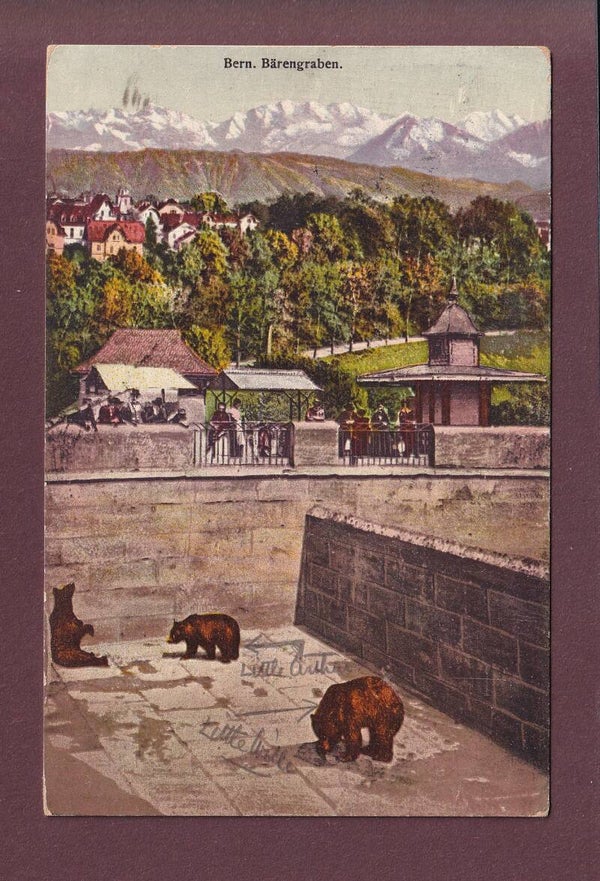 BERN - Bärengraben - 1914