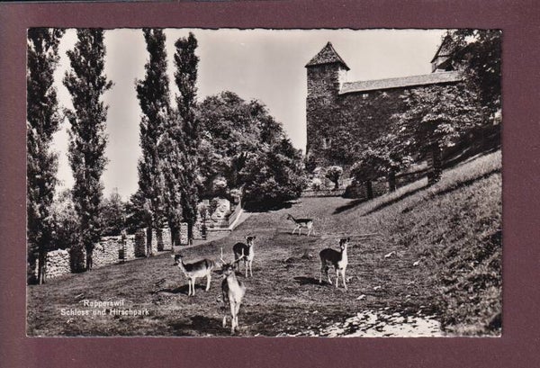 RAPPERSWIL - Schloss - Hirschpark
