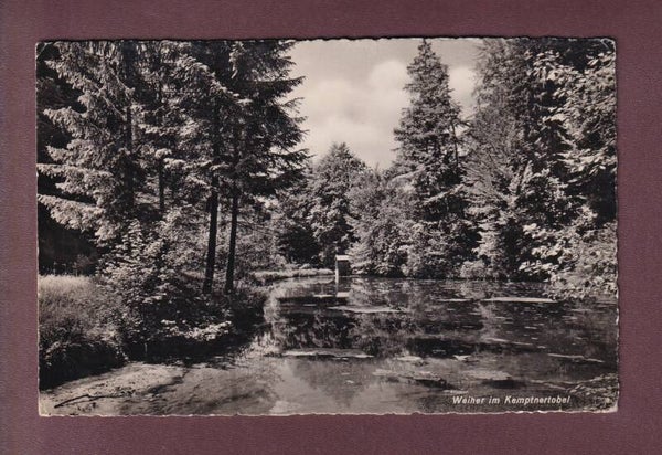Weiher im KEMPTNERTOBEL - 1951 // Eckbug //