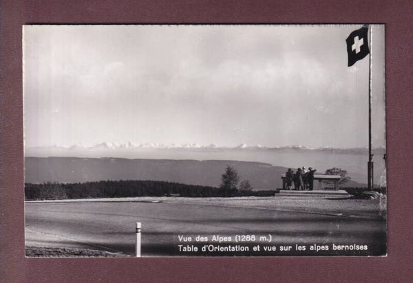 VUE DES ALPES - Table d'orientation