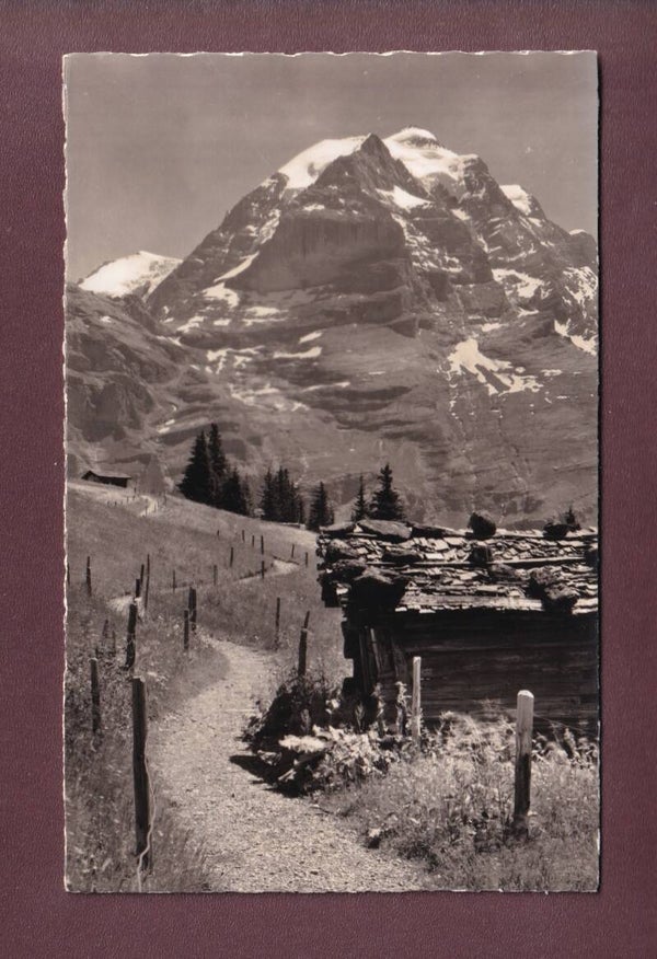 Am Weg nach SPIELBODENALP ob Mürren - Jungfrau