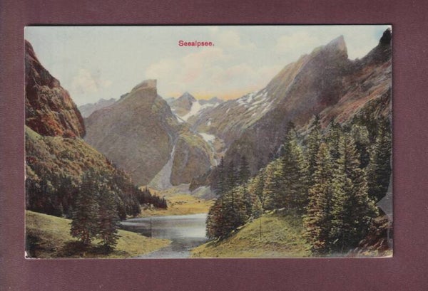 SEEALPSEE - 1909 glatt