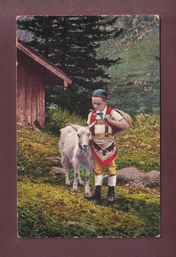 TOGGENBURGER-KNABE - Ziege