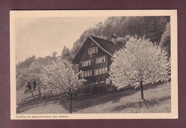 APPENZELLERLAND - Frühlingsidyll bei Heiden
