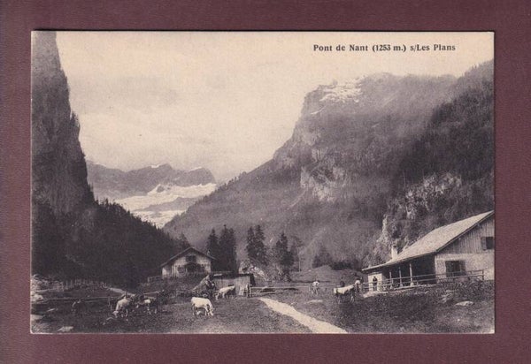 PONT DE NANT sur Les Plans