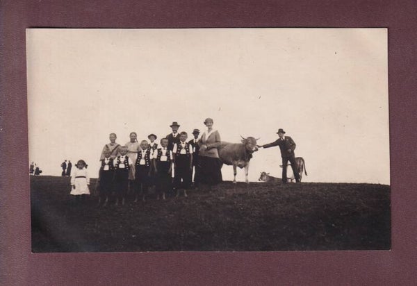 Foto - TRACHT - Kühe