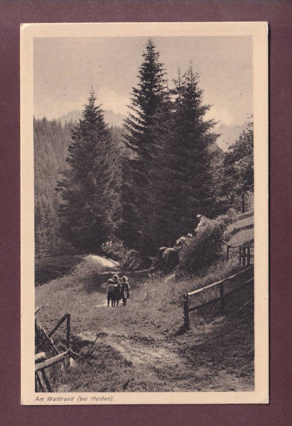 Am Waldrand bei HEIDEN