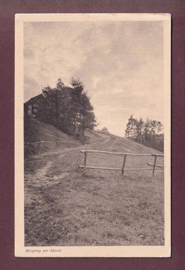 BERGWEG am Abend // Falte //