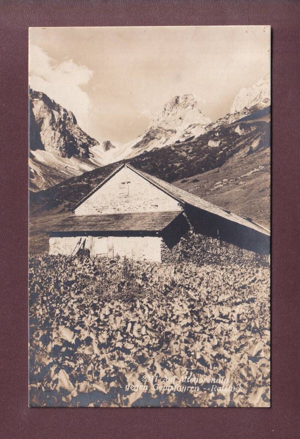 ALTENORENALP gegen Gemsfayren - Rotstock