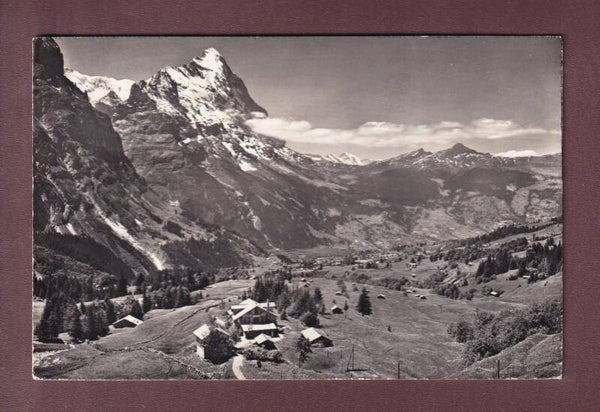 GRINDELWALD - Hotel Pension Lauchbühl - 1956