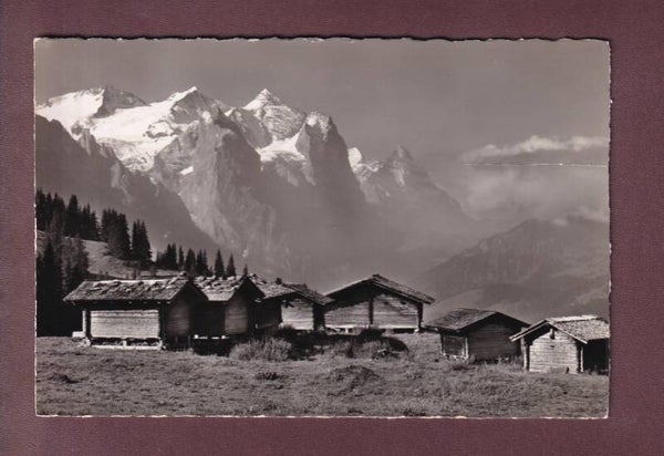 HASLIBERG - Mägisalp - 1953 // Falte //