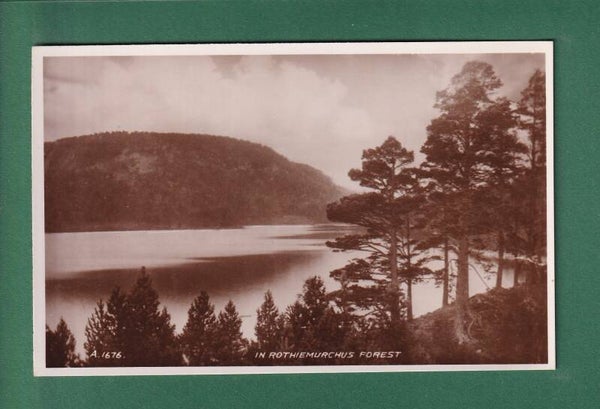 In ROTHIEMURCHUS FOREST
