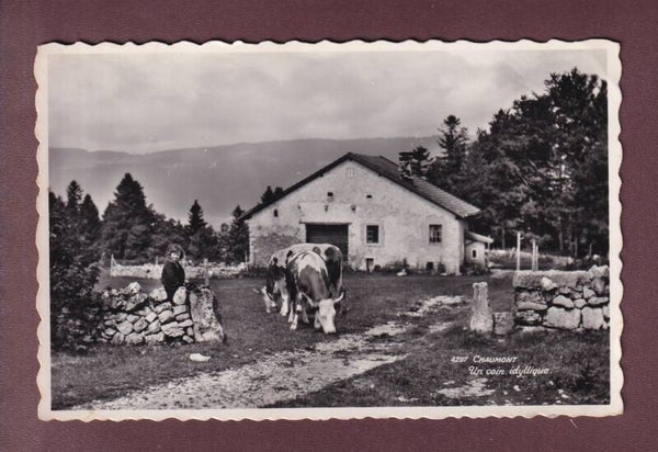 CHAUMONT - Un coin idyllique - Vaches
