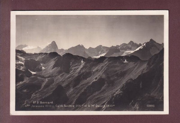 GRAND-SAINT-BERNARD - Panorama