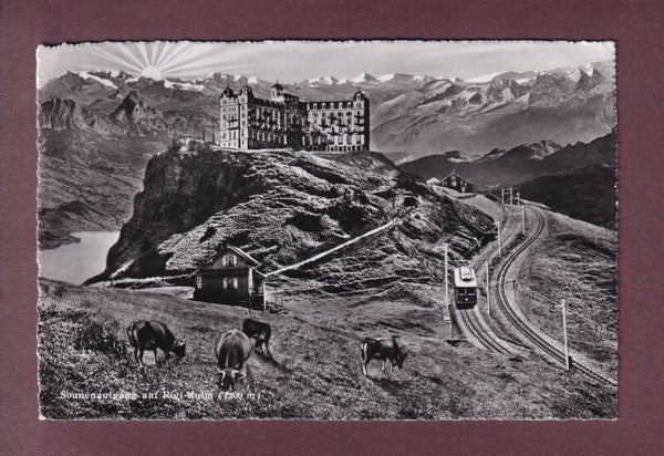 RIGI-KULM - Sonnenaufgang