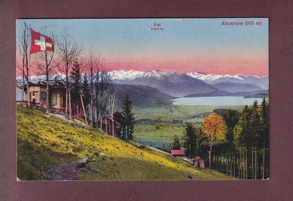 Horgen - ALBISHORN - Rigi - 1918