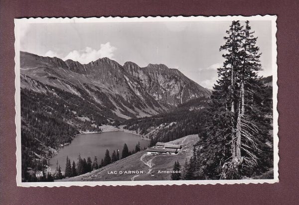 LAC D'ARNON / ARNENSEE - 1946