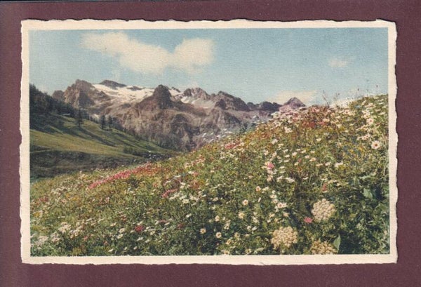 Sommer im FEXTAL - Sils