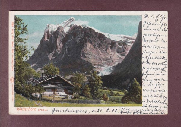 Bei Grindelwald - WETTERHORN - 1902 // Rück verletzt //