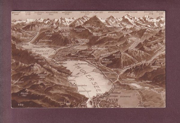 THUN und Umgebung - Vogelschau