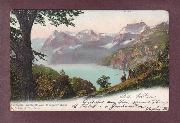 AXENSTEIN - Ausblick vom Margarithahain - 1905