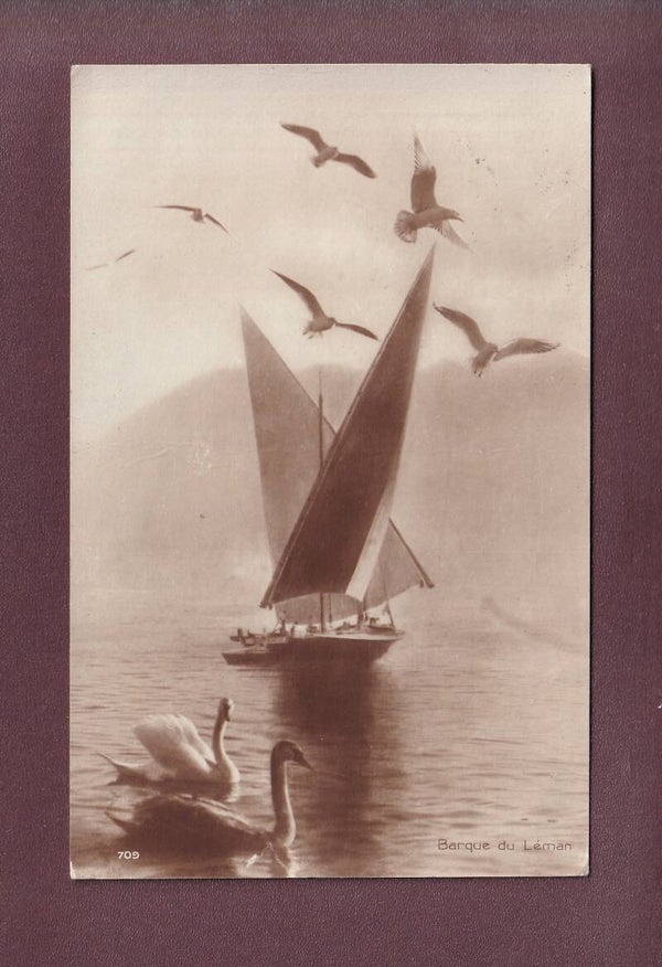 BARQUE DU LEMAN - Cygnes - Mouettes - 1923