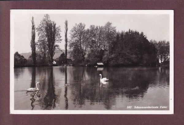 USTER - Schwanenkolonie - 1945