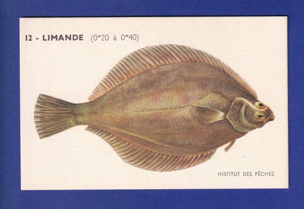 Poisson - LIMANDE