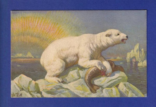 OURS POLAIRE // voir dos //