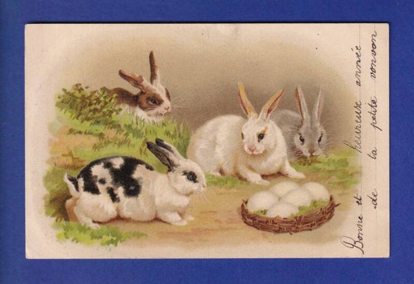 LAPIN