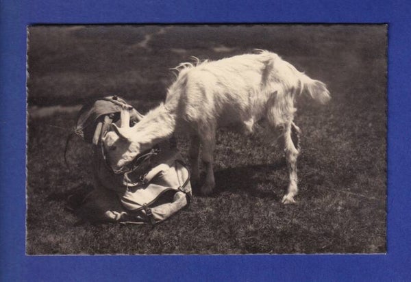 CHEVRE