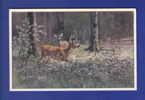 CERF et BICHE